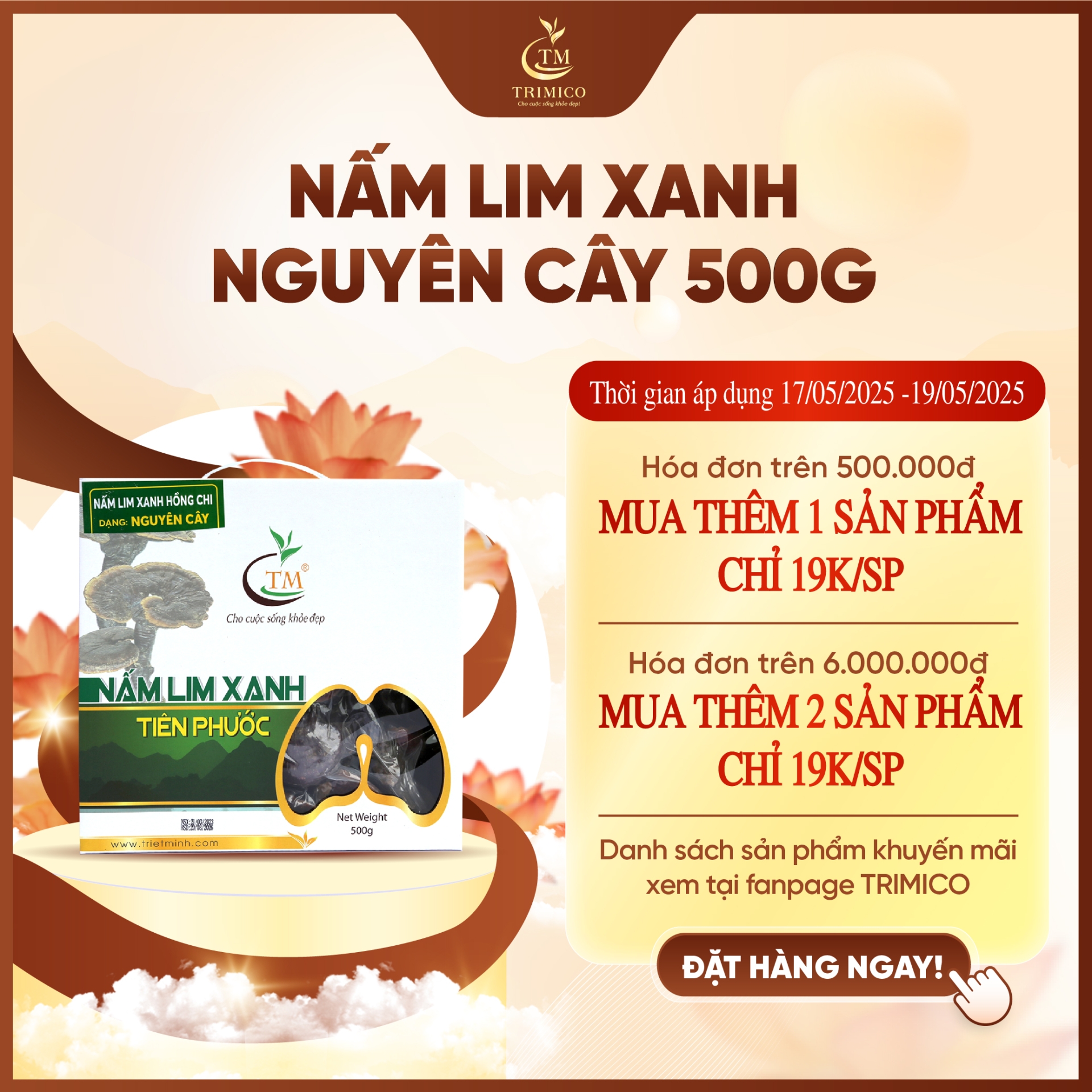 Nấm Lim Xanh Rừng Nguyên Cây 500g